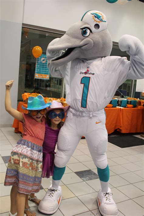 Miami dolphin mascot